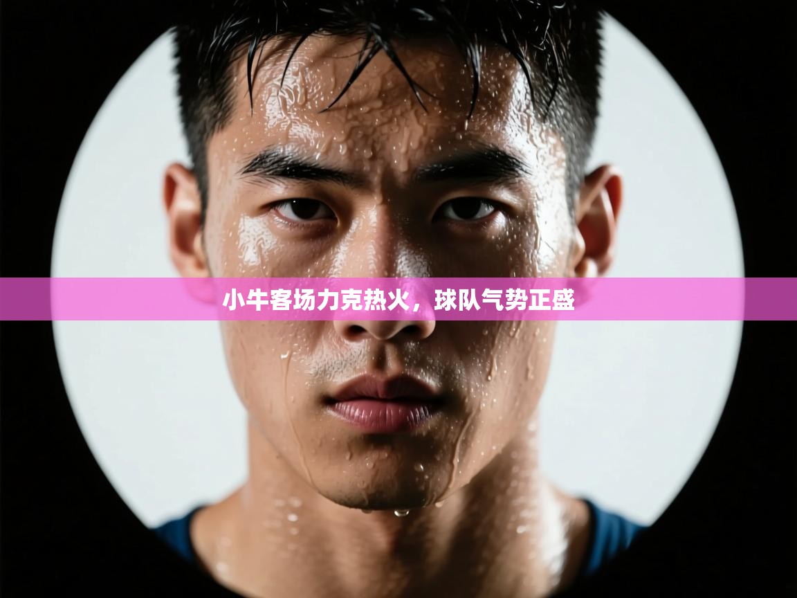 小牛客场力克热火，球队气势正盛  第1张