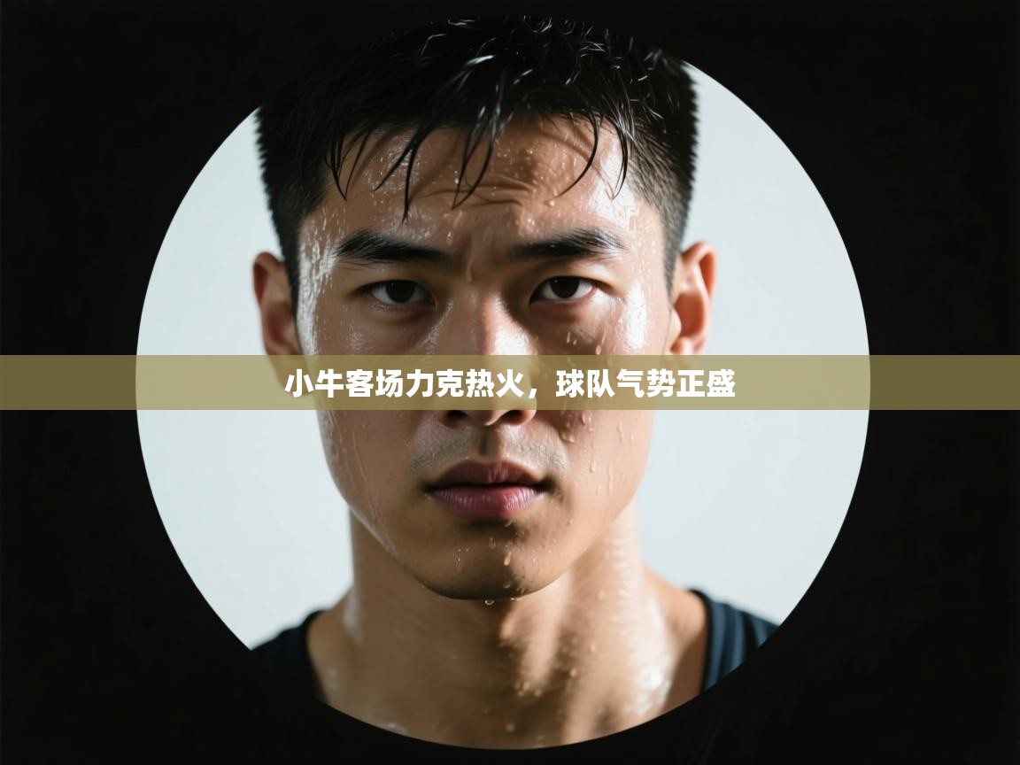 小牛客场力克热火，球队气势正盛  第2张