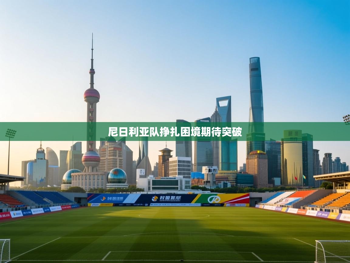 尼日利亚队挣扎困境期待突破  第1张