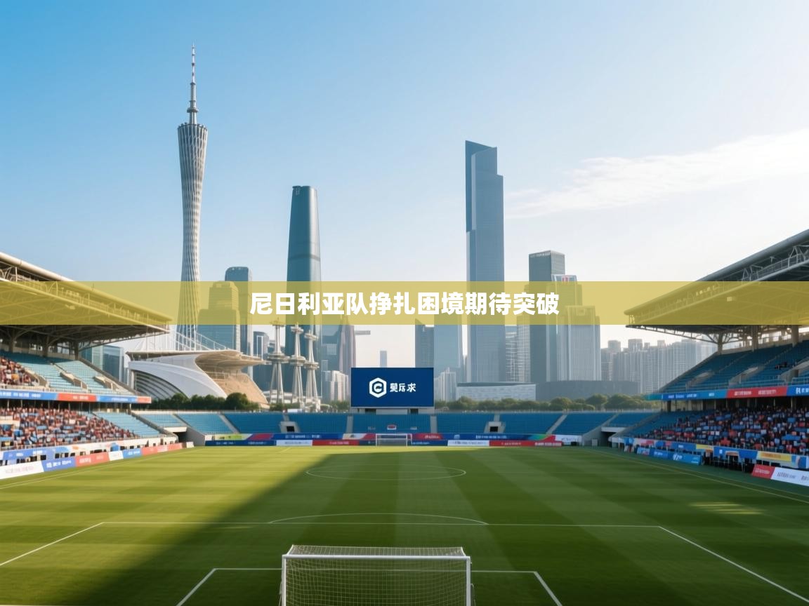 尼日利亚队挣扎困境期待突破  第2张