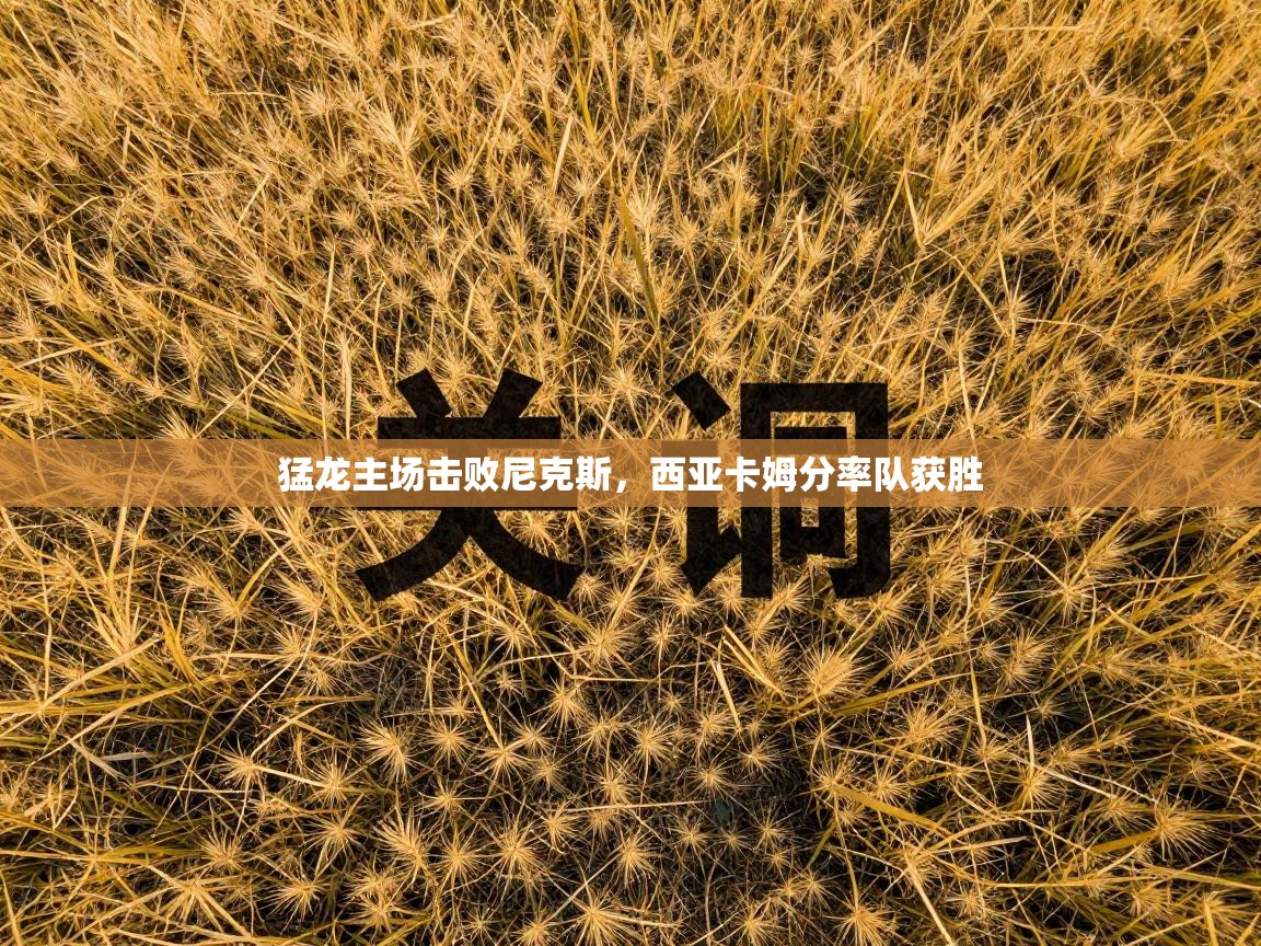 猛龙主场击败尼克斯，西亚卡姆分率队获胜