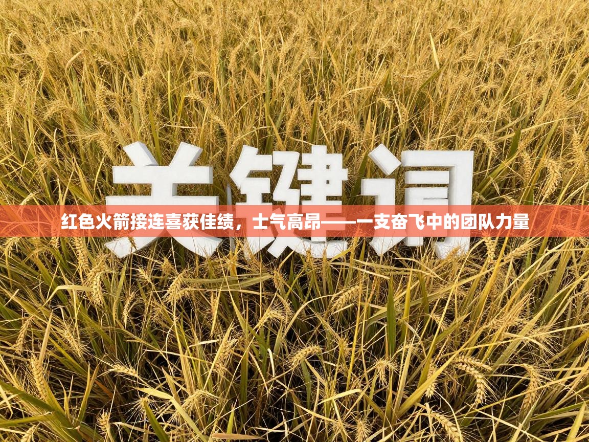红色火箭接连喜获佳绩，士气高昂——一支奋飞中的团队力量  第2张